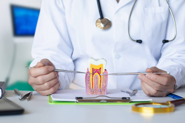 Best Emergency Broken Tooth Repair in Fletcher, NC